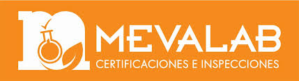 Cliente 16