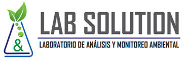 Cliente 19