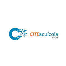 Cliente 22